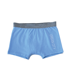 Boxer